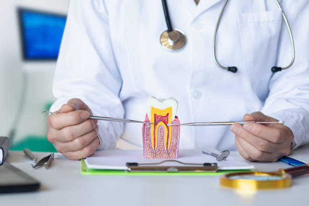 Best Broken or Cracked Tooth Emergency Dentist in Alton, TX